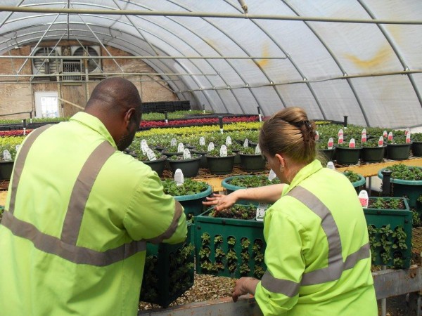 (Photo provided by Barbara Blevins)  Horticulture Department working hard getting summer planters ready. Pictured are Sheryl Cunningham and Antonio MCCloud.