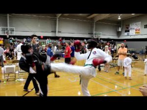 Tristen Fitz-Gerald (in white) lands a round kick on his opponent during a continuous fighting match at the Alexander Karate Championships in Madison.