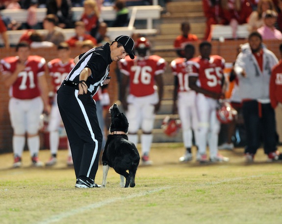 (Photo by Johnny Autery)  A referee tries to get a dog off the field during last Friday's quarterfinal playoff game between Sweet Water and Luverne. The Dawgs will take the field again tonight when they host Washington County in the Class 2A semifinals. 