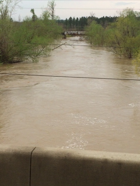 Bogue Creek
