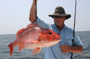 Big red snapper, like this one Gregg Miles of Winfield caught on the Fairwater II out of Orange Beach, have been commonplace in recent years.