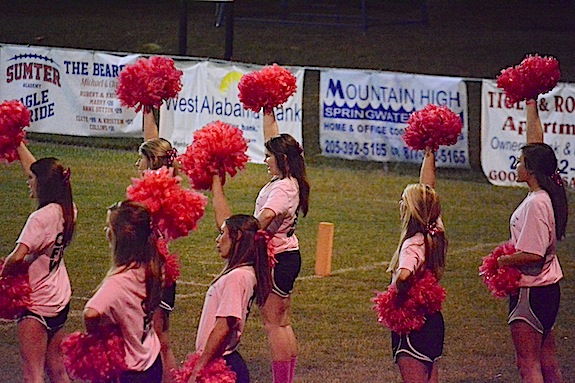 Sumter Varsity Cheerleaders Pink Out the Stadium