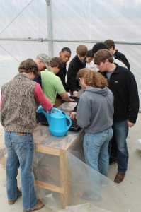 Students in the greenhouse preparing flats to plant flower seeds