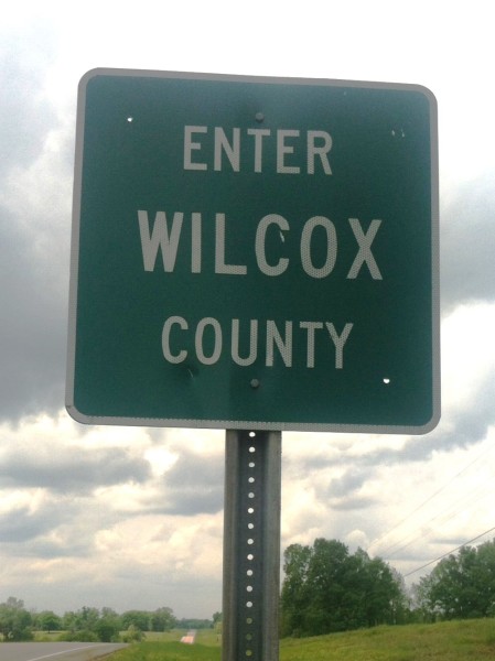 Wilcox