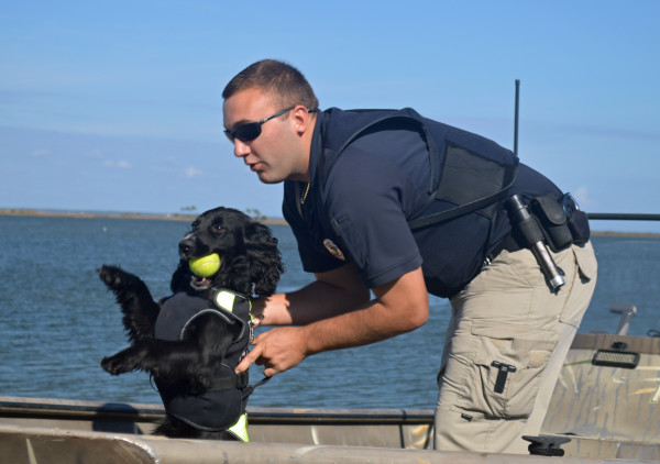 Enforcement Officer Chris Cox works his dog, Gaines, on multiple situations from large charter boats to small skiffs to search for fish fillets or hidden fish. (Contributed Photo)