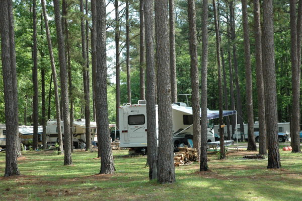 Roland Cooper’s campground is nestled under tall pine trees. (Photo by Kim G. Nix)