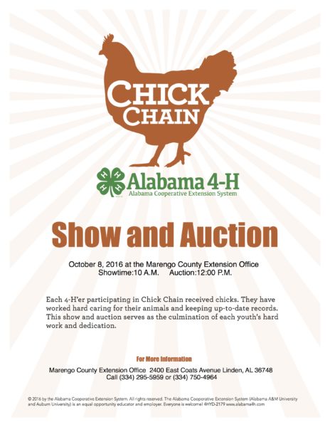 chick-chain-show-flyer-2016